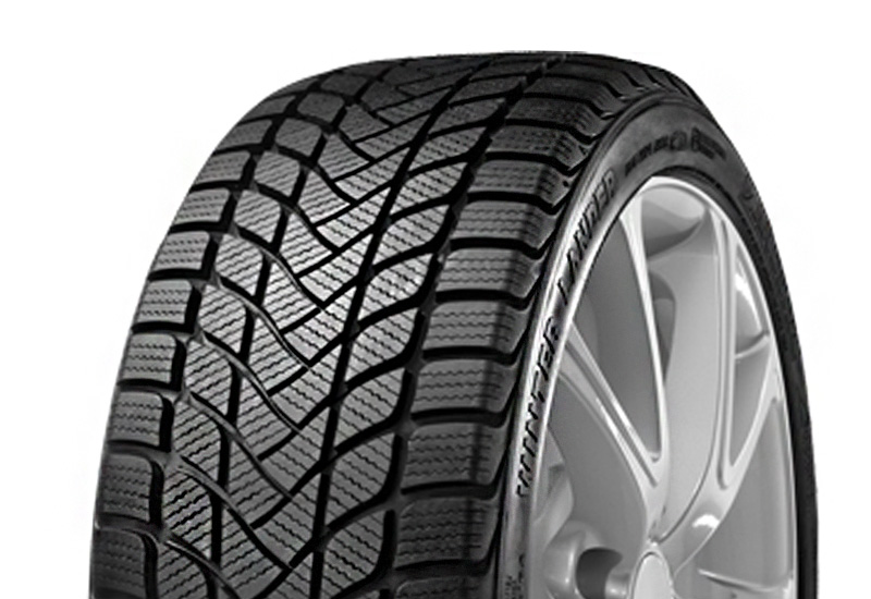 Landsail WINTER LANDER 205/55 R17 95H