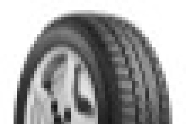 Toyo Vario V2+