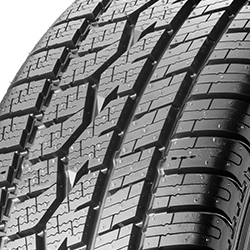 Toyo Celsius 165/65 14 79T