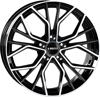 TIARA Gloss Black / Polished