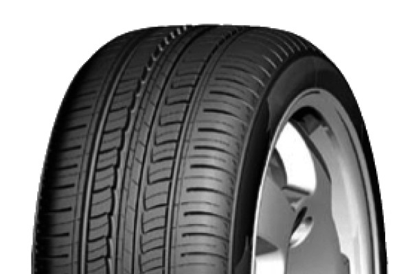 Windforce CAFORSATII