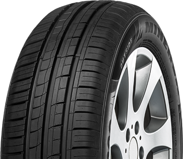 Minerva 209 165/65 13 77T