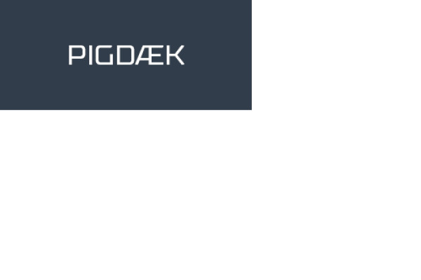 Rockblade Winterplus Stud II