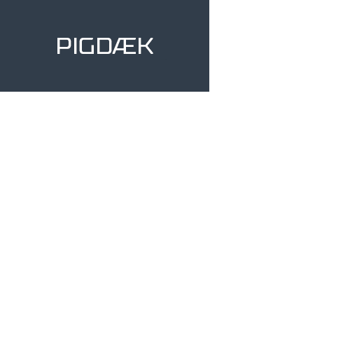 Rockblade Winterplus Stud II 255/55 20 110T