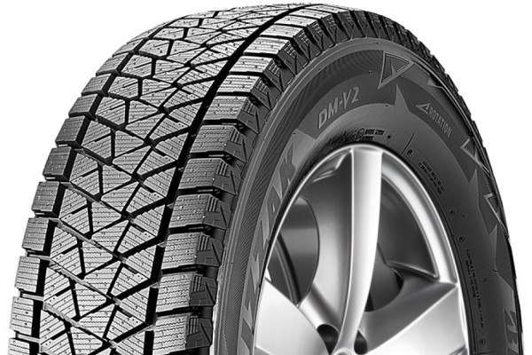 Bridgestone Blizzak DM V2